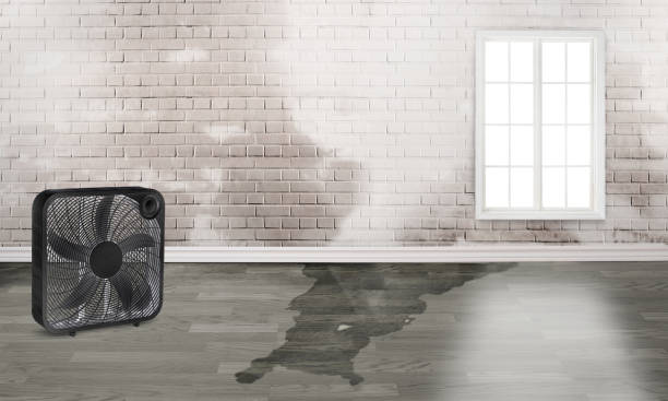 Best 24/7 water damage repair  in Hughson, CA