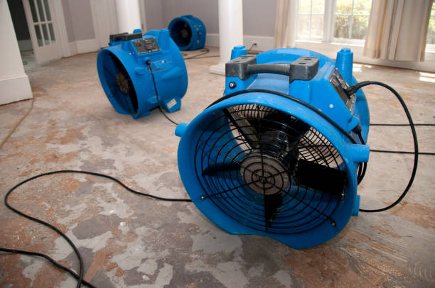 Best Local water damage restoration  in Hughson, CA
