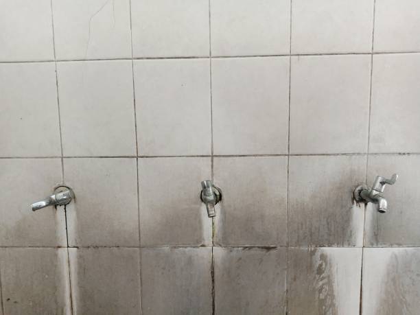 Best Flooded house restoration  in Hughson, CA
