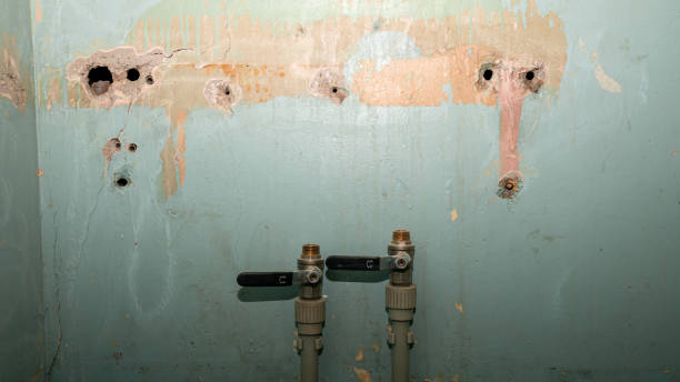 Best 24-hour water damage restoration  in Hughson, CA